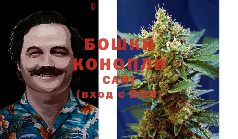 где продают   Камызяк  даркнет клад  Конопля OG Kush 